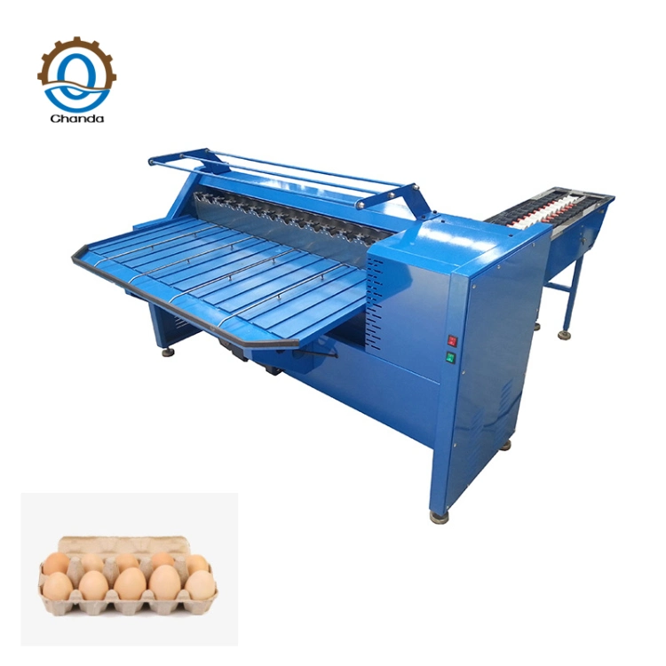 High Quality Egg Grader /Egg Sorting Machine / Egg Grading Machine