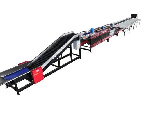 79 Salted Pine Egg Washing Grading Machine Marinated Egg Sorting Printing Machine Processing Line