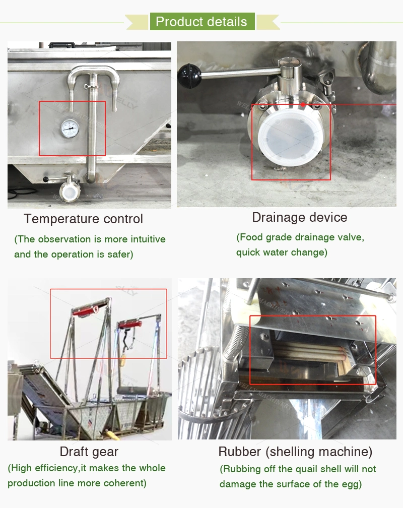 Durable Quail Egg Boiling and Peeling Production Line Automatic Quail Egg Production Line