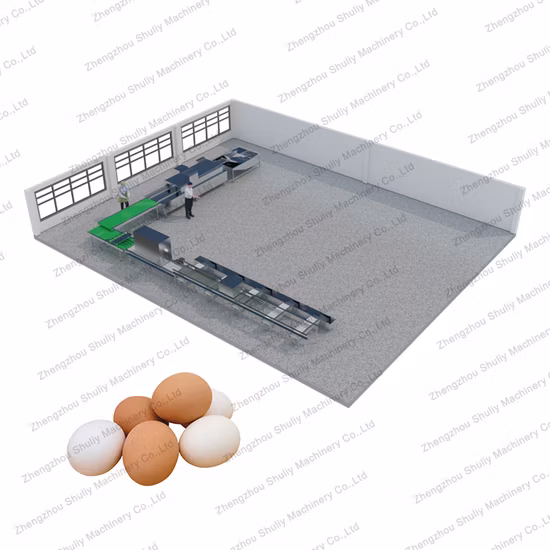 1000PCS Per H Egg Washing Drying Candler Grading Sorting Machine Line