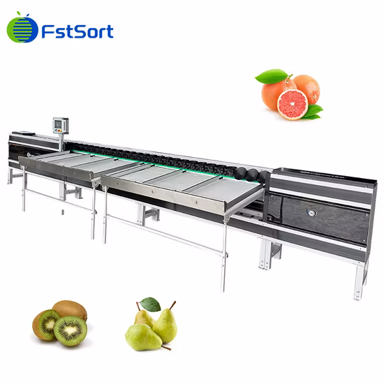 79 Salted Pine Egg Washing Grading Machine Marinated Egg Sorting Printing Machine Processing Line