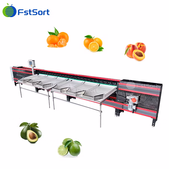 79 Salted Pine Egg Washing Grading Machine Marinated Egg Sorting Printing Machine Processing Line