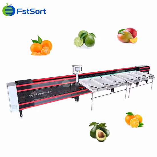 79 Salted Pine Egg Washing Grading Machine Marinated Egg Sorting Printing Machine Processing Line