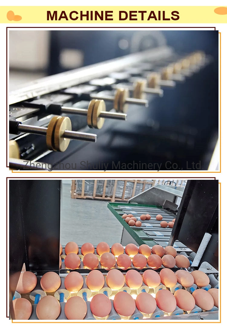 High Capacity Factory Price Egg Washing and Grading Machine Egg Scale Egg Grader