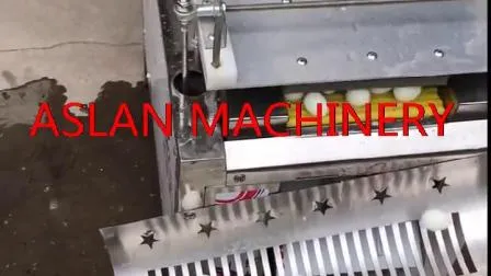 Machine à casser les œufs de caille bouillis +86 17335571519