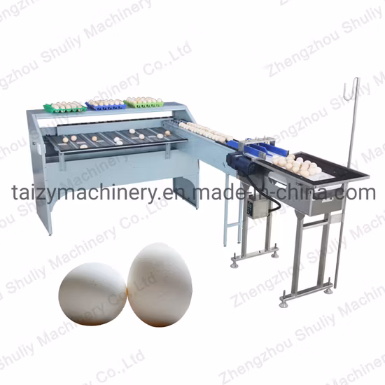Machine de classement de pesée d'oeufs