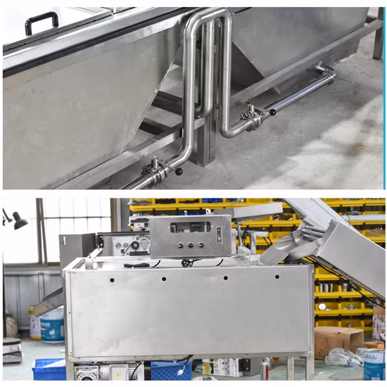 Machine à bouillir les œufs de caille