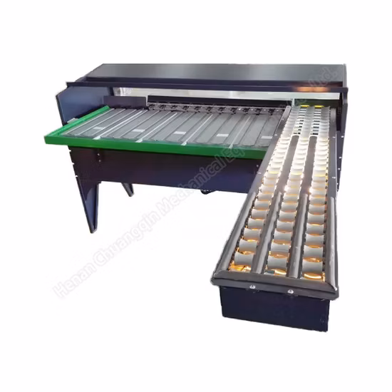 Machine de niveleuse d'oeufs de poulet Échelle d'oeufs Calibreuse d'oeufs Calibreuse d'oeufs de canard Calibreuse de taille d'oeuf Petite machine de niveleuse d'oeufs Machine manuelle de niveleuse d'oeufs Machine de classement d'oeufs