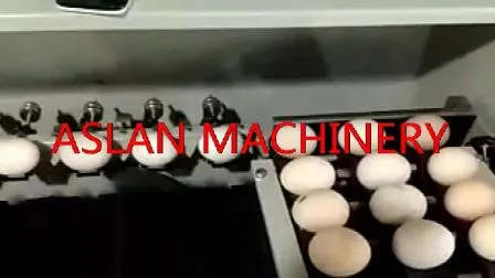 Classeur d'oeufs de bonne qualité avec haute efficacité/trieuse d'oeufs électrique/nouveau type de machine de classement de poids d'oeufs de canard d'oeufs