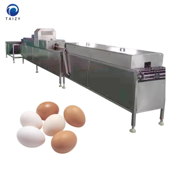 Machine de nettoyage d'oeufs de poule en acier inoxydable pour laveuse d'oeufs de volaille