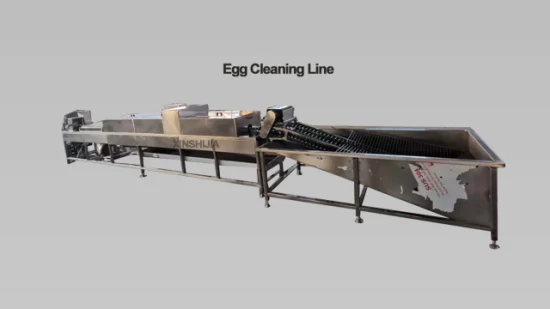 Ligne de production de traitement de nettoyage de lavage d'oeufs de canard salé de poulet de volaille d'acier inoxydable automatique multifonctionnel